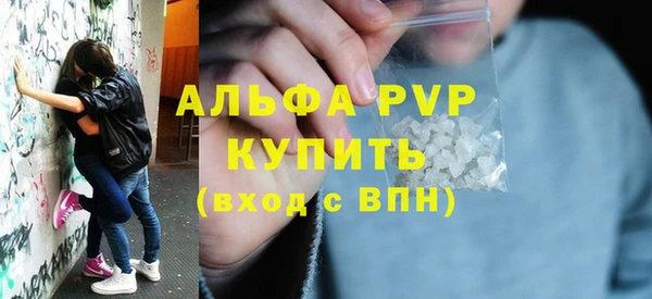 крисы Надым