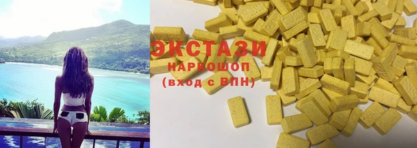 крисы Надым