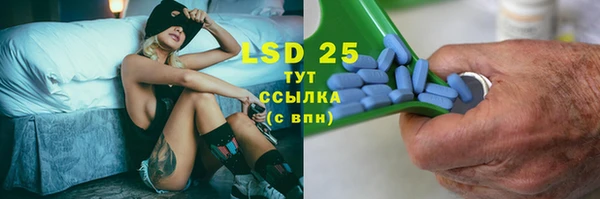 крисы Надым