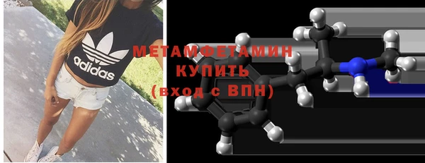 крисы Надым