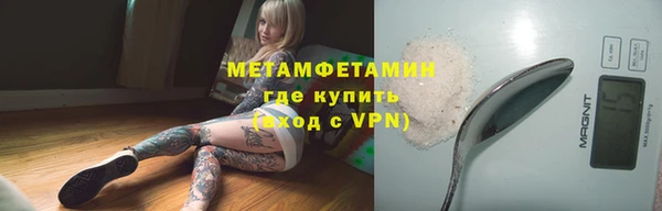 крисы Надым