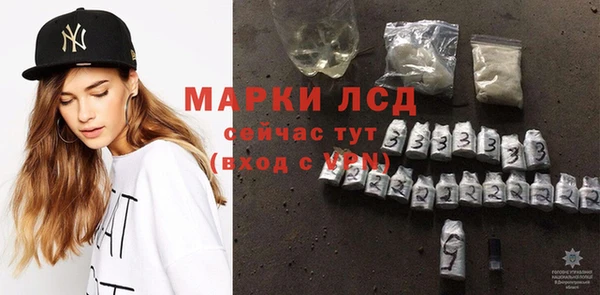 крисы Надым