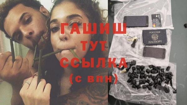 крисы Надым