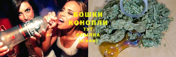 крисы Надым