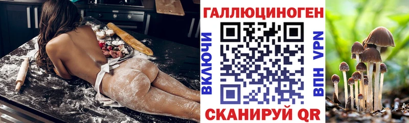 Галлюциногенные грибы Psilocybe  Купить закладки  Новоузенск 