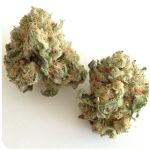 Шишки "White Widow"  (Белая вдова)  Гидропоника -  Бошка VHQ в Новоузенске