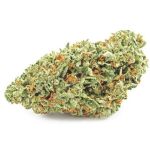 Шишки OG Kush  (Гидропоника, бошки) VHQ в Новоузенске